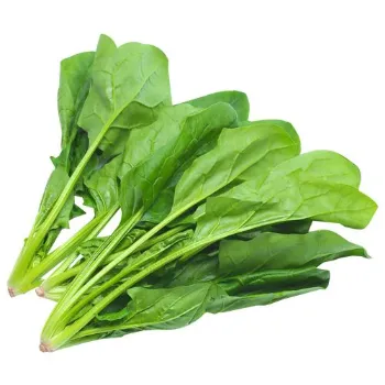 Spinach (5)-2920497-78591.webp